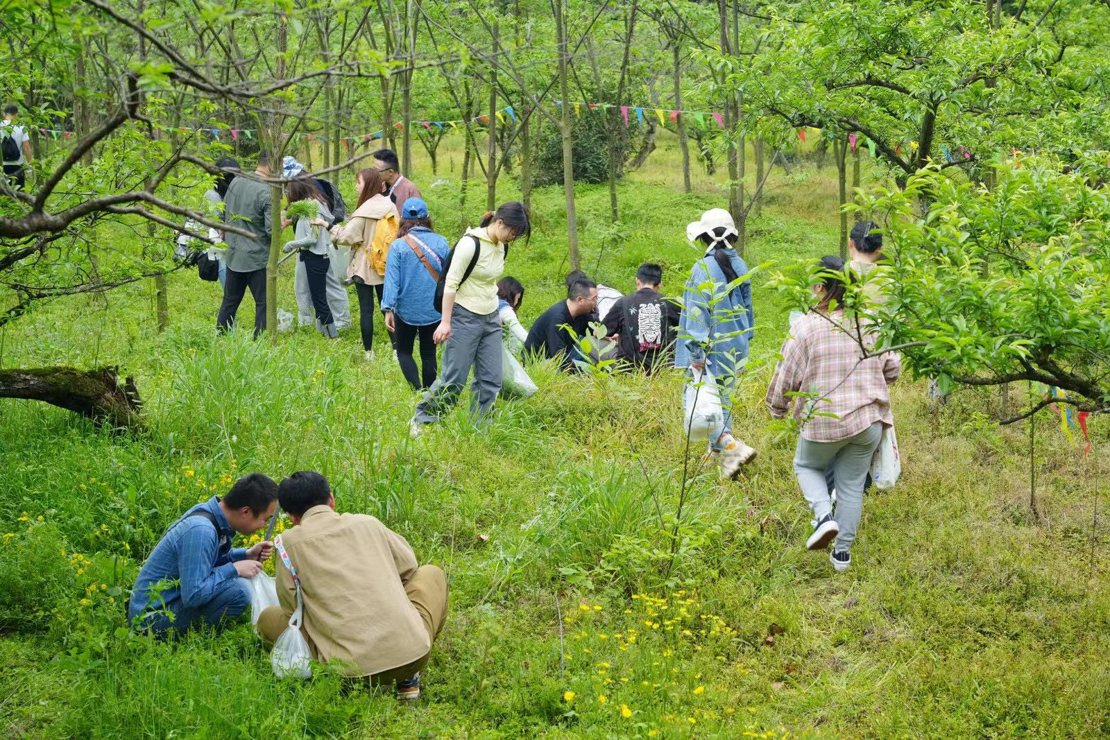 微信圖片_20240417095557.jpg 微信圖片_20240417095557.jpg